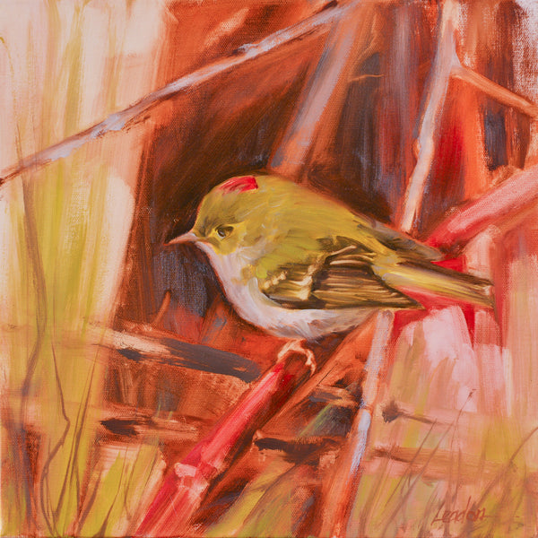 Ruby Crowned Kinglet